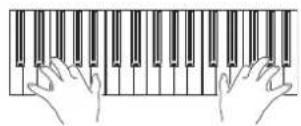 KORG Pa3XLe - Jouez sur le clavier. - 1
