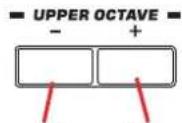 KORG Pa3XLe - Transposer la partie 'Upper' par octave - 1