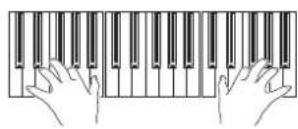 KORG Pa3XLe - S'il n'est pas affché, affichez le cadre "STS Name" en touchant l'onglet [STS Name]. - 3