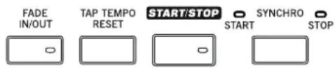 KORG Pa3XLe - Style Controls - 1