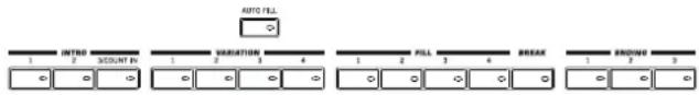 KORG Pa3XLe - Style Elements - 1
