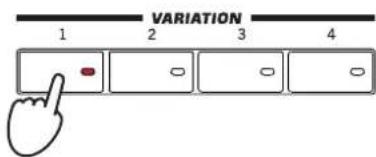 KORG Pa3XLe - (LOCK). - 5