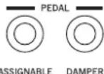 KORG Pa3XLe - Pédales - 1