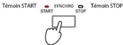 KORG Pa3XLe - Appuyez sur le bouton SYNCHRO-START/STOP pour allumer le témoin START. - 1