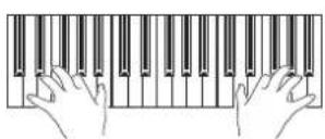 KORG Pa3XLe - Jouez sur le clavier pour écouter le son. - 1