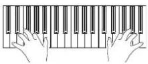 KORG Pa3XLe - Jouez sur le clavier. - 1