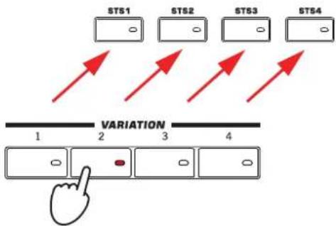 KORG Pa3XLe - S'il n'est pas affché, affichez le cadre "STS Name" en touchant l'onglet [STS Name]. - 5