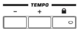 KORG Pa3XLe - Section TEMPO - 1