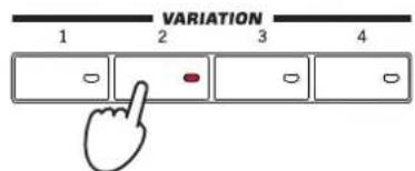 KORG Pa3XLe - (LOCK). - 6