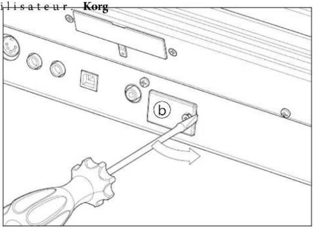 KORG Pa3XLe - Installation - 2