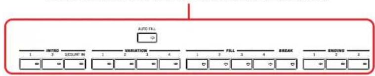 KORG Pa3XLe - Enregistrement - 1