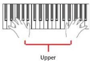 KORG Pa3XLe - Jouer avec différentssons pour les mains gauche et droite - 7