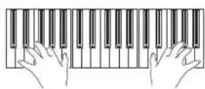 KORG Pa3XLe - Ajouter des harmonies à la mélodie de la main droite avec la fonction 'ENSEMBLE' - 3