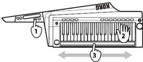 KORG RK100S - Tonhöhe steuern - 3