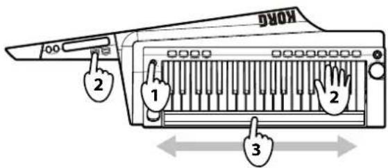 KORG RK100S - Control de la intensidad - 1