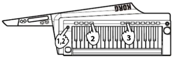 KORG RK100S - Assigning programs to favorites buttons - 1