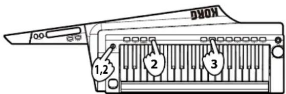 KORG RK100S - Asignación de programas a los botones de favoritos - 1