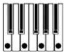 KORG RK100S - Choisissez le motif d'arpège avec les boutons OCTAVE +/- ou le levier SOUND. - 11
