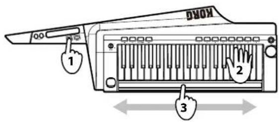 KORG RK100S - Control de la intensidad - 3
