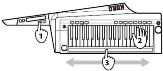 KORG RK100S - Contrôler la hauteur en gardant la main gauche libre - 1