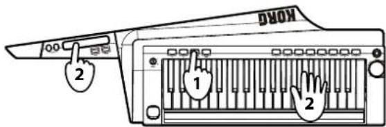 KORG RK100S - Tonhöhe steuern - 1