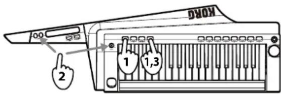 KORG RK100S - Démonstration - 1