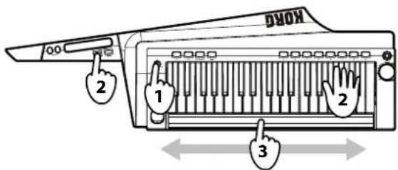 KORG RK100S - Tonhöhe steuern - 1