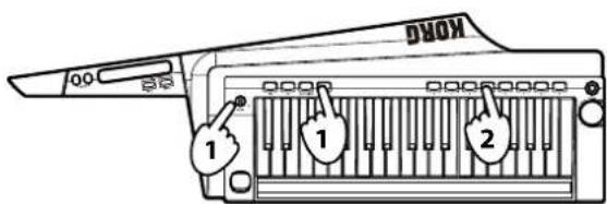 KORG RK100S - Verwenden der Favoritentasten - 1