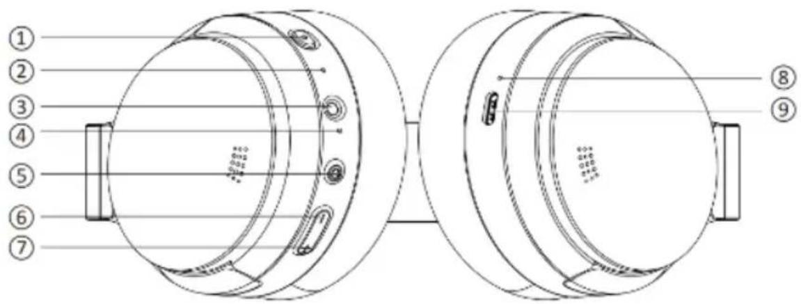 V7 HB800ANC - Produktübersicht - 1