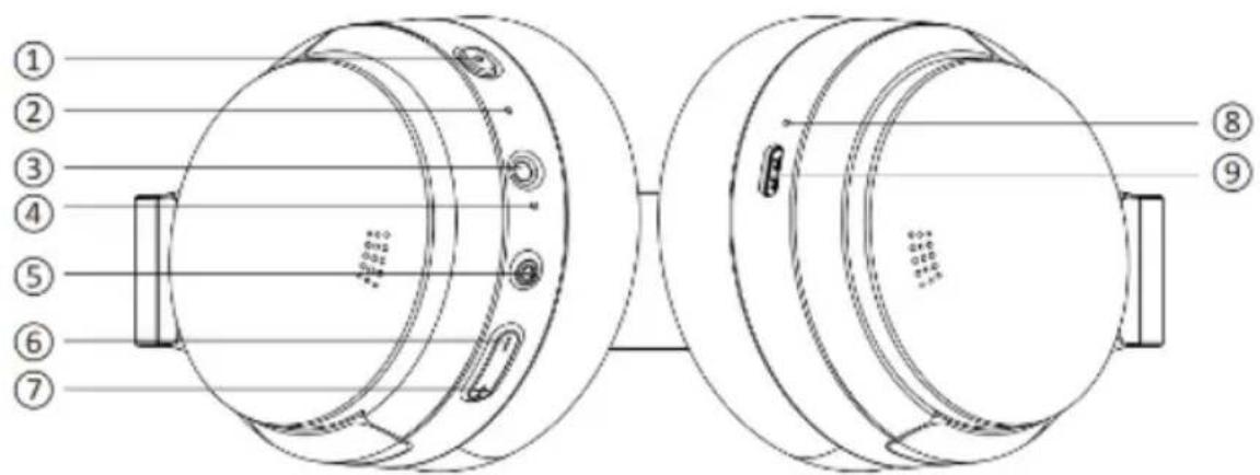 V7 HB800ANC - Descripción general del producto - 1