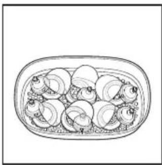PHILIPS Avent SCF291 - Assembling the sterilizer - 4