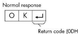 HP Pavilion LC2600N - Response code format - 1