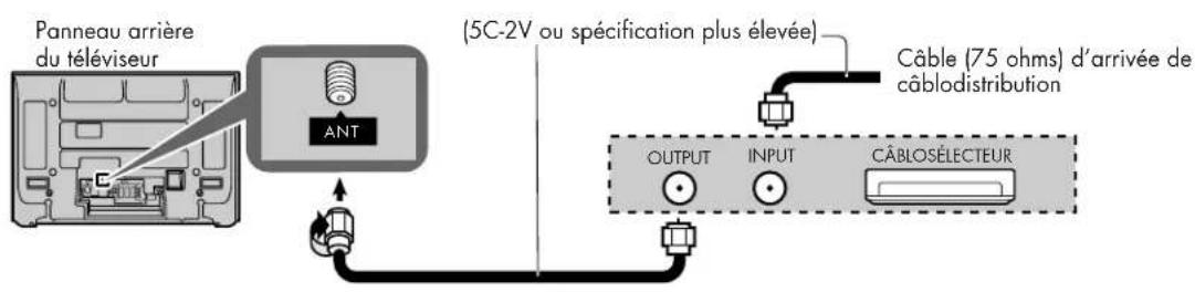 HP Pavilion PE4200N - Connexion d'un décodeur : - 1