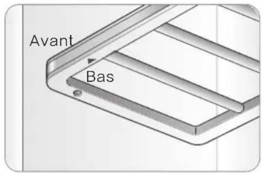 Avant Bas