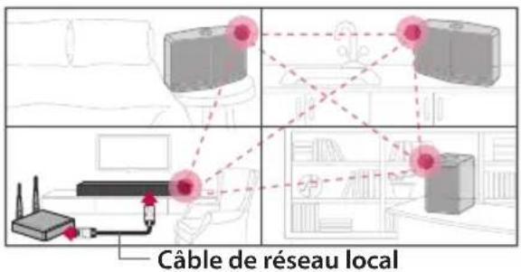 LG NP8540 - Connexion cablee (connexion au réseau maille MUSICflow) - 1