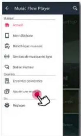 LG NP8540 - Raccordement d'une enceinte supplémentaire à votre réseau avec un cable de réseau local - 3