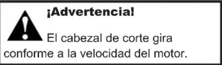 Shindaiwa HomePro 22T - Al encender el motor- - 1