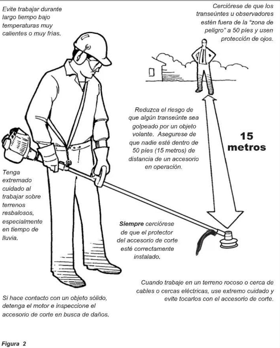 Shindaiwa HomePro 22F - El Operario Propiamente Equipado - 2