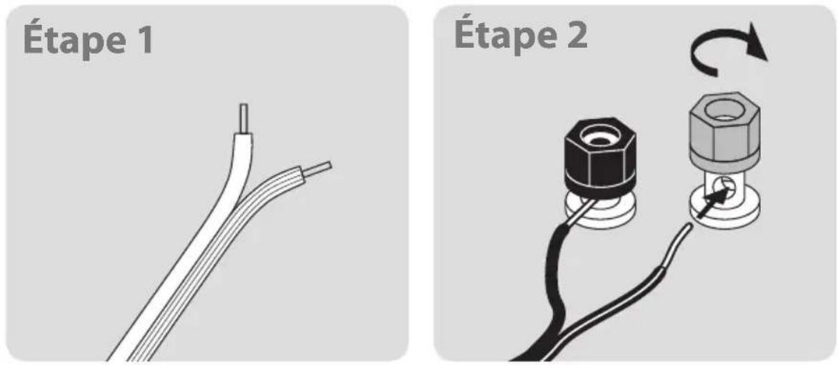 BOSTON ACOUSTICS RS 260 - Déballage du système - 1