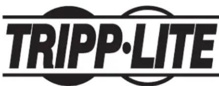 Tripp Lite SmartRack SRW10US - PROTECT YOUR INVESTMENT! - 3
