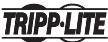 Tripp Lite SmartRack SRWF12U38 - CoepkaHne - 1