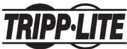 Tripp Lite SmartRack SRW9UDPGVRT - PROTECT YOUR INVESTMENT! - 3