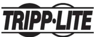 Tripp Lite SmartRack SRWF16U38 - PROTECT YOUR INVESTMENT! - 3