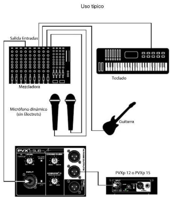 PEAVEY PVXp Sub - DISYUNTOR (1) - 5