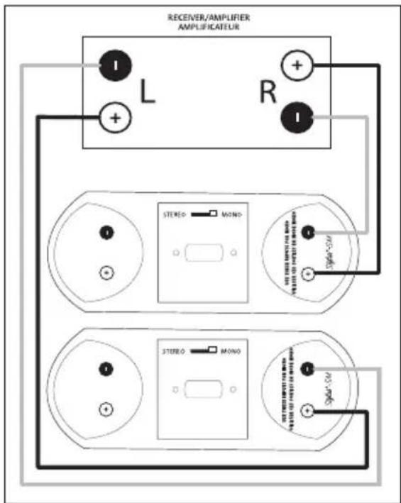 Paradigm Stylus 170 - Wiring for 'SM' Models Câblage pour modèles « SM » - 2