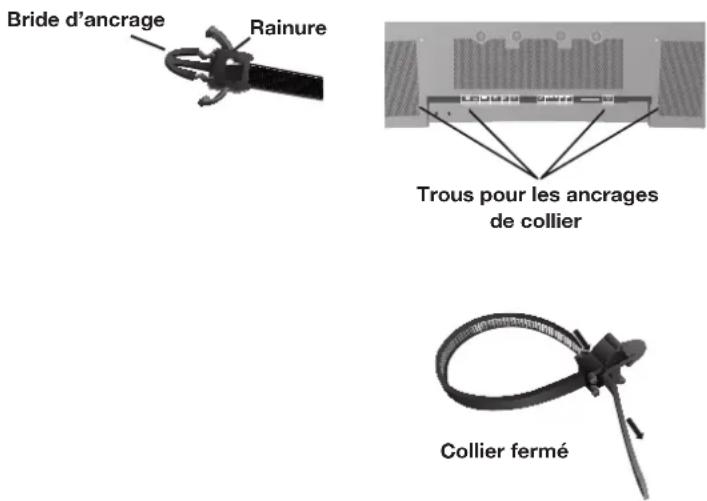 NEC PlasmaSync 42XC10 - Organisation des Cables - 1
