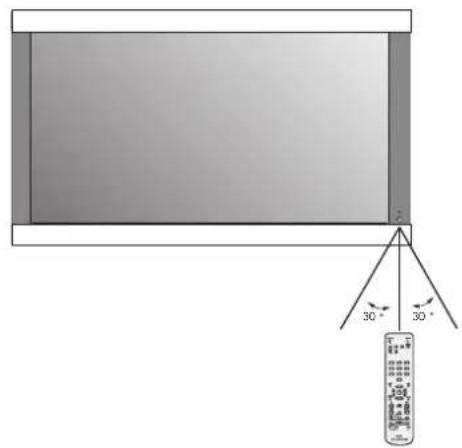 NEC PlasmaSync 50XC10 - Umgang mit der Fernbedienung - 1