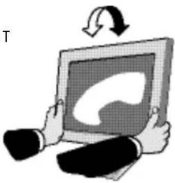 NEC MultiSync 1940CX - Incliner - 1