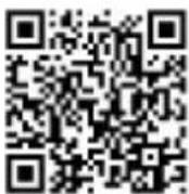 AIPTEK PocketCinema A100W - Temporizzazioni in ingresso supportate - 22