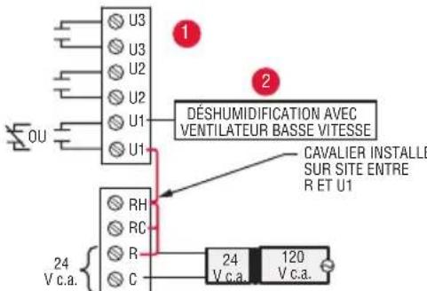 HONEYWELL YTHM5421R1010 - Alertes à contact sec - 11